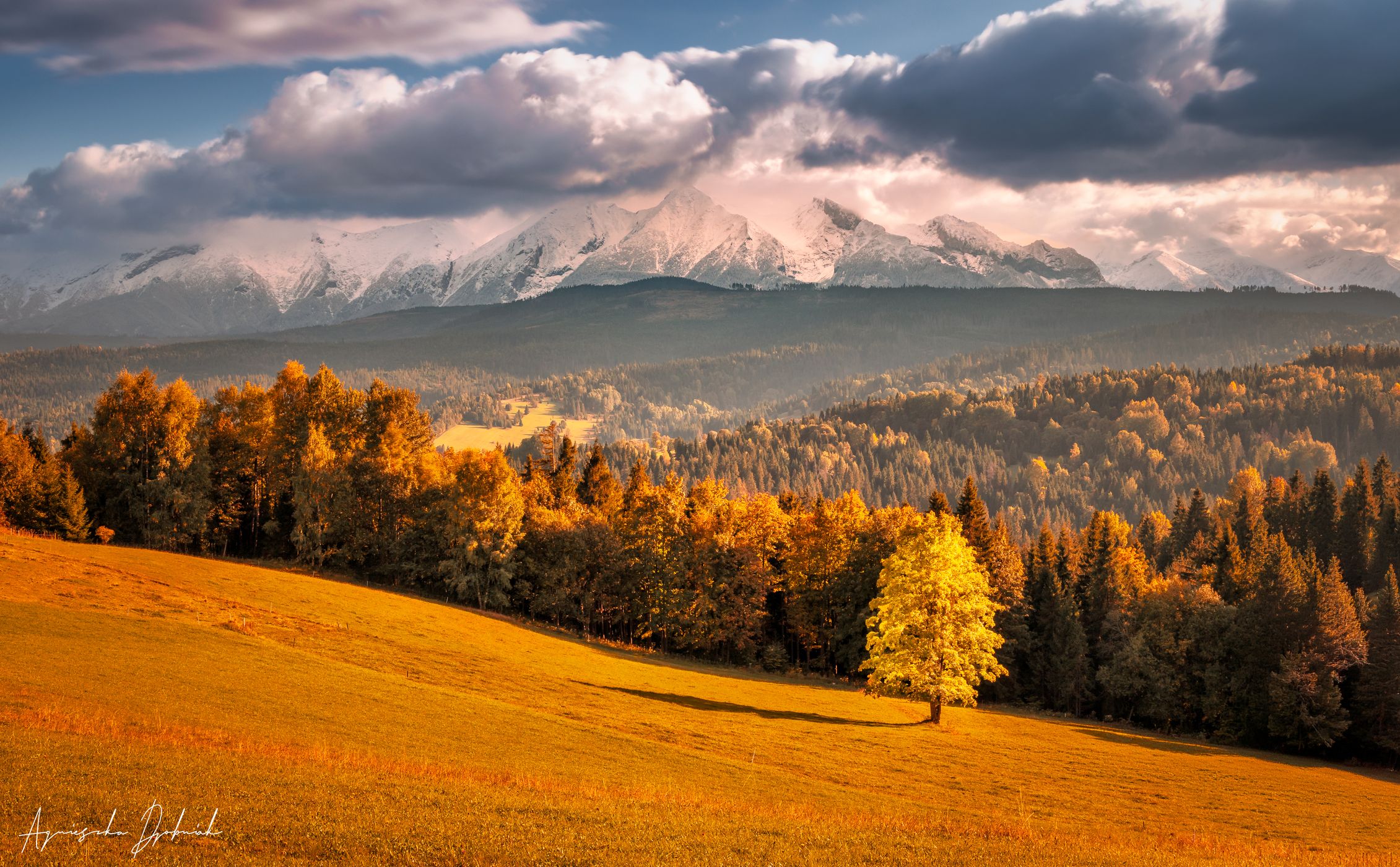 Łapszanka, Poland, Poland
