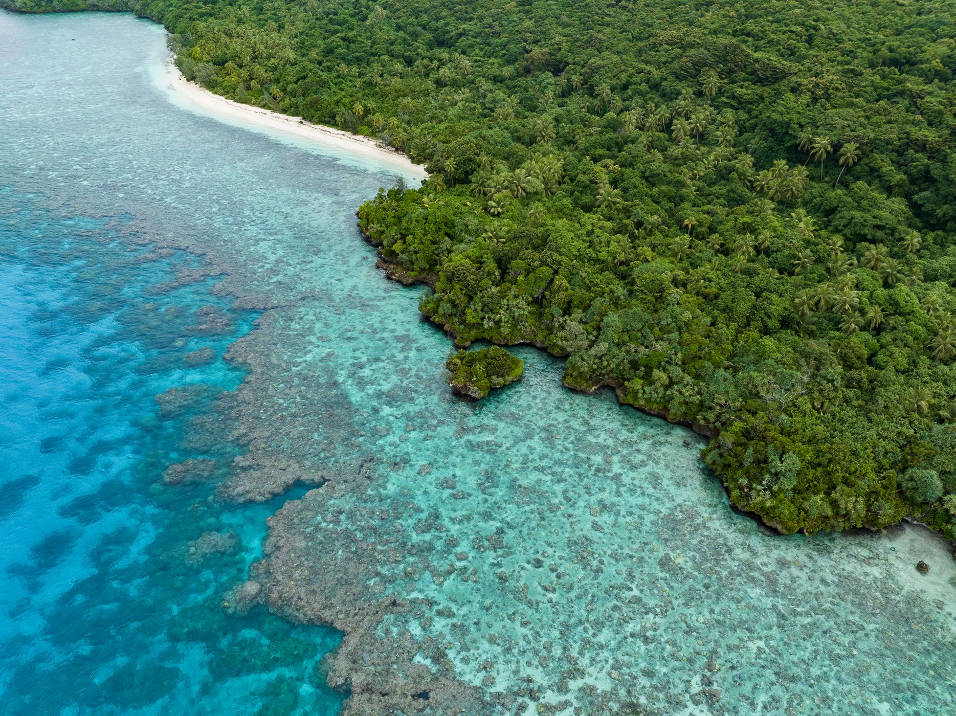 Lifou Nature, New Caledonia