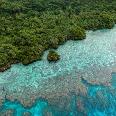 Lifou Nature, New Caledonia