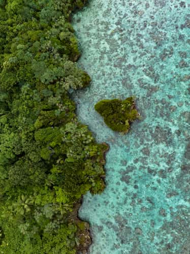 Lifou Nature