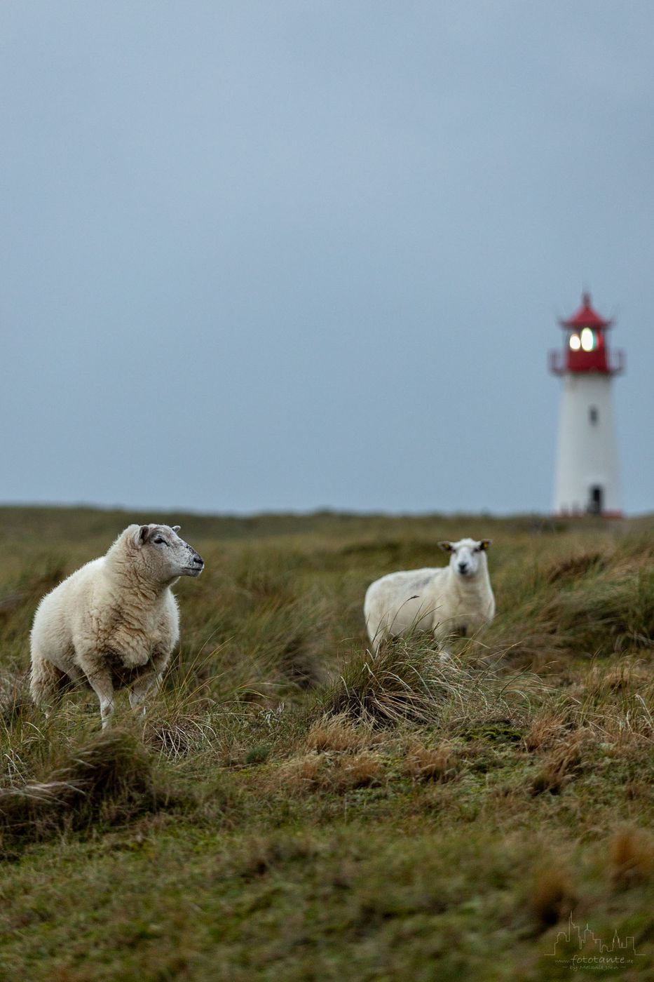 Lighthouse List-West on the island of Sylt, Germany