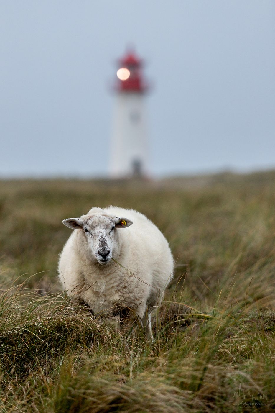 Lighthouse List-West on the island of Sylt, Germany