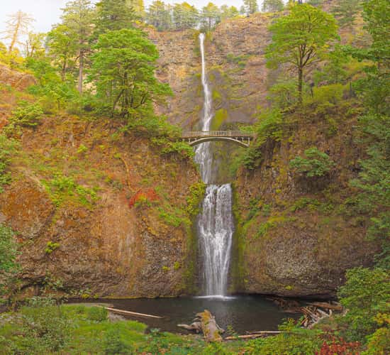 Lower Multnomah Falls