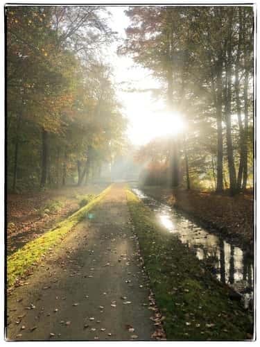 Ludwigslust Castle and Parc