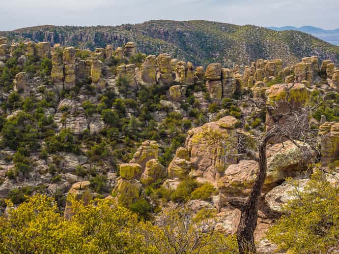 Massai Point Trail