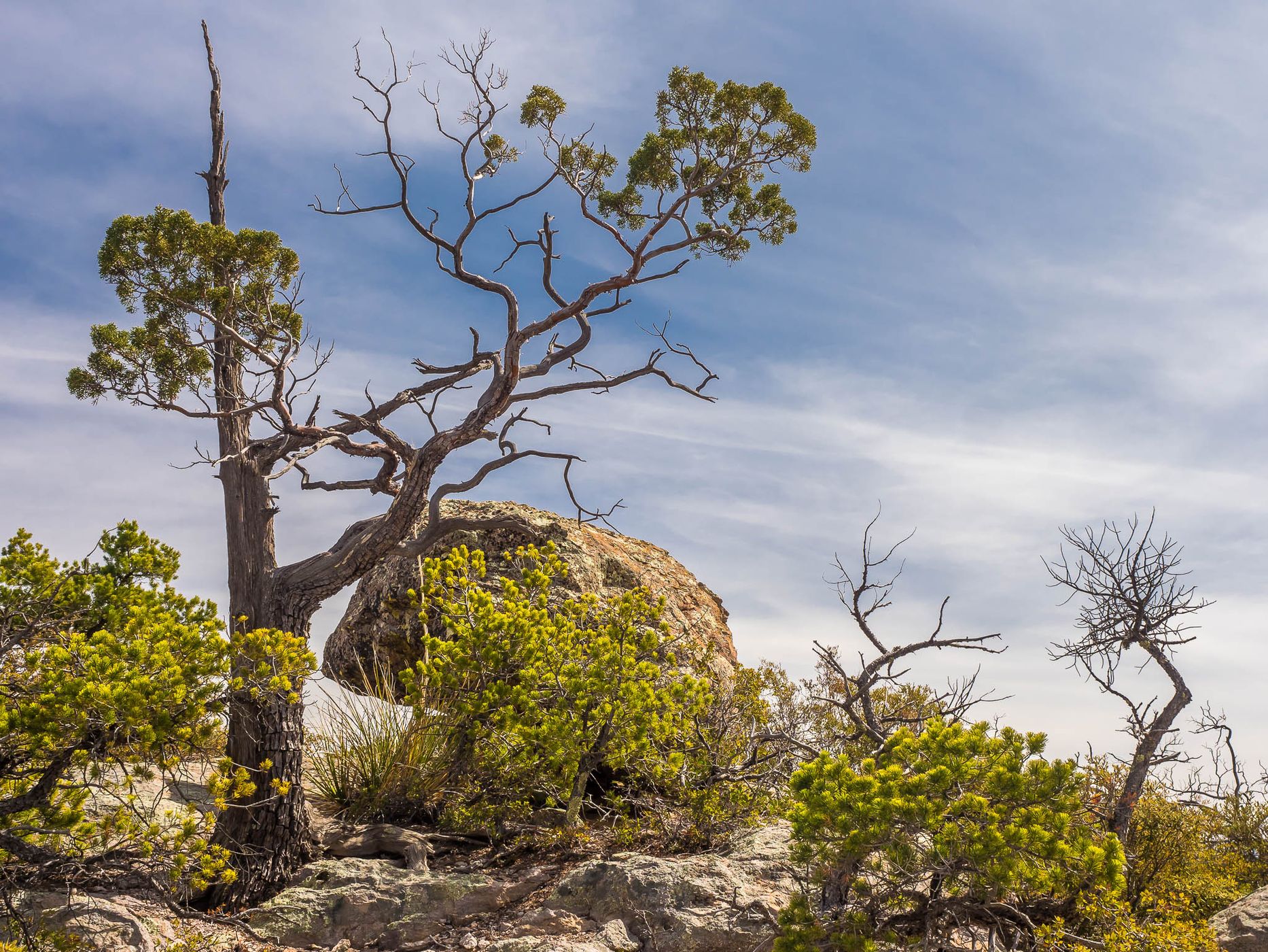 Massai Point Trail, USA