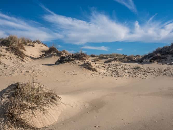 Matalascañas Beach