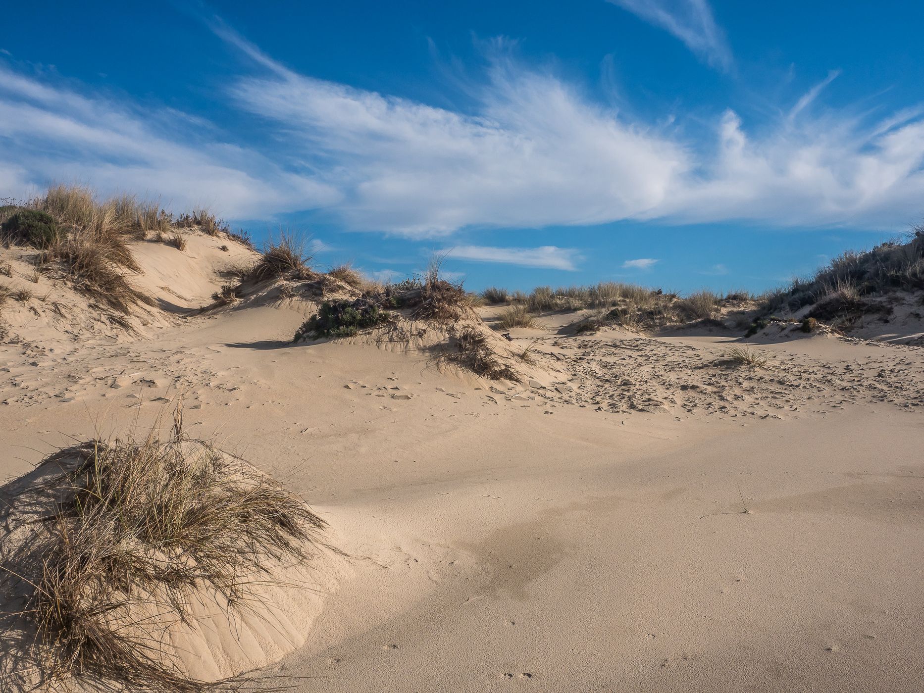 Matalascañas Beach, Spain