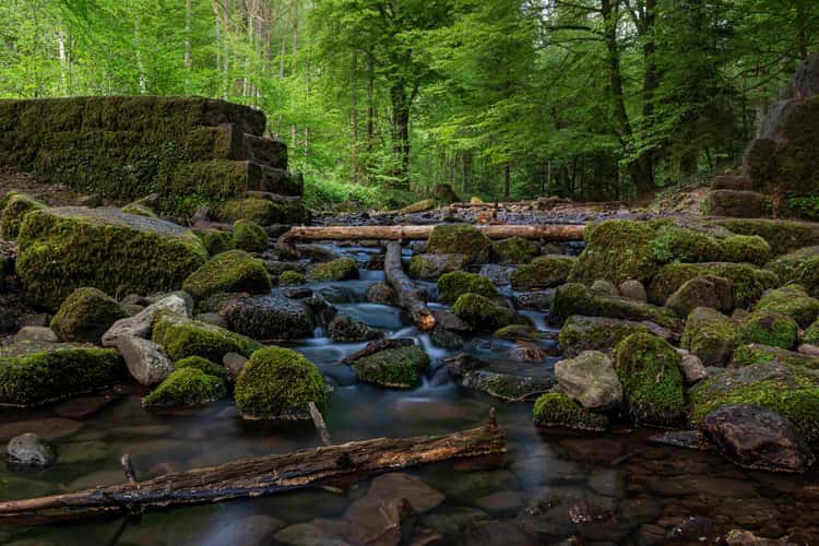 Monbachtal