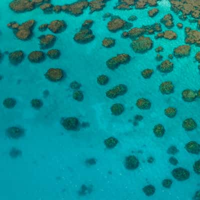 Môrô island, New Caledonia