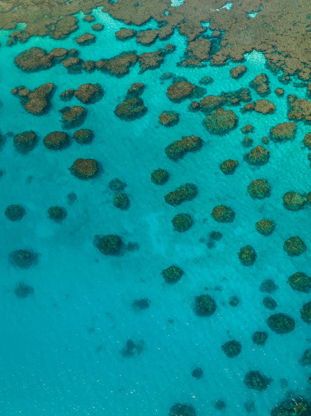 Môrô island, New Caledonia