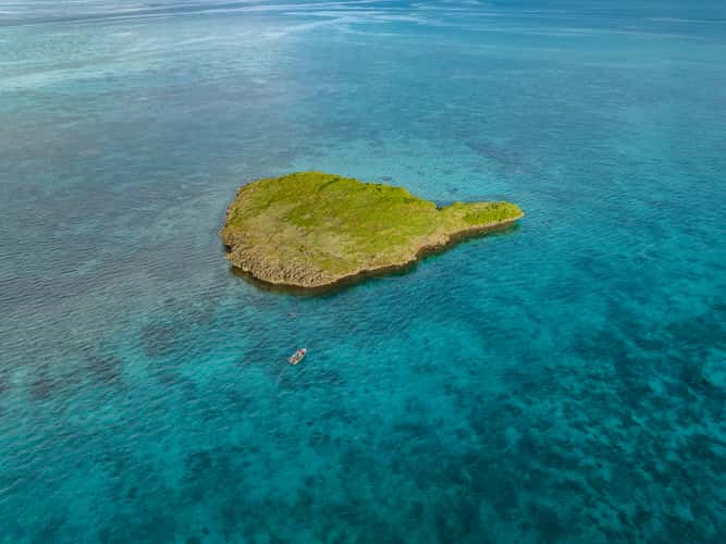Mushroom islet