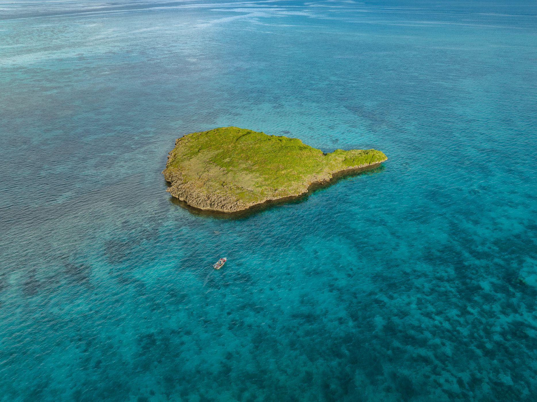 Mushroom islet, New Caledonia