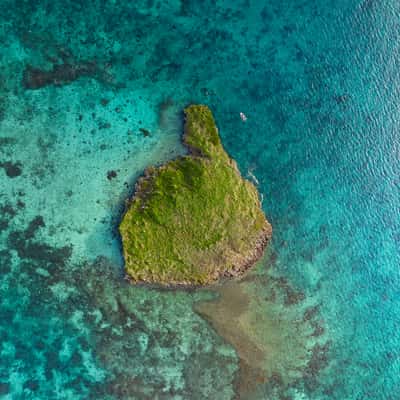 Mushroom islet, New Caledonia