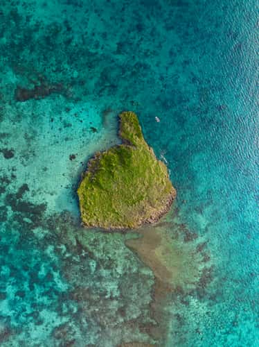 Mushroom islet