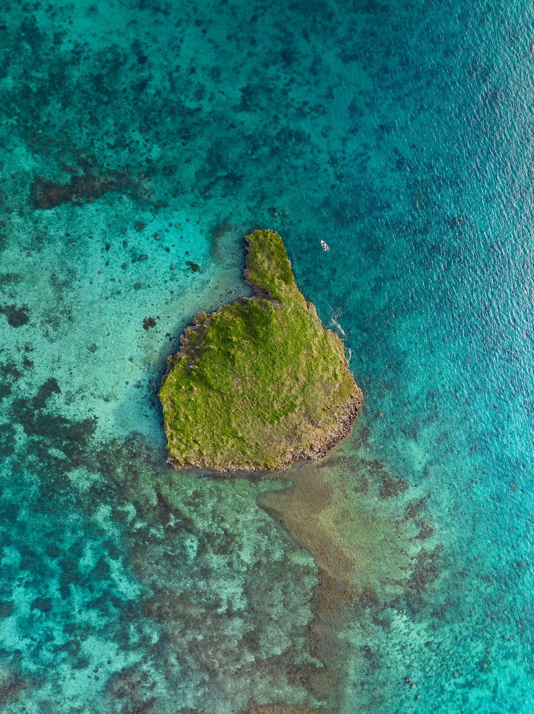 Mushroom islet, New Caledonia