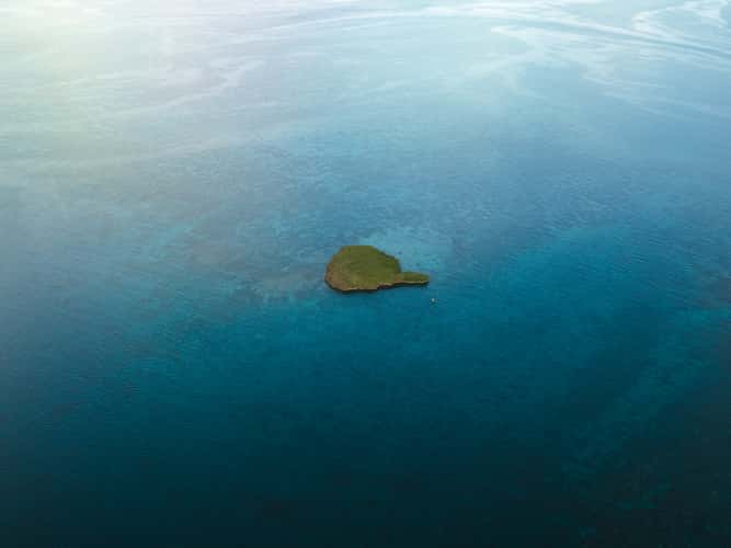 Mushroom islet