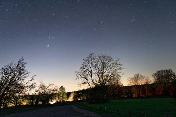 National Trust - Harting Down