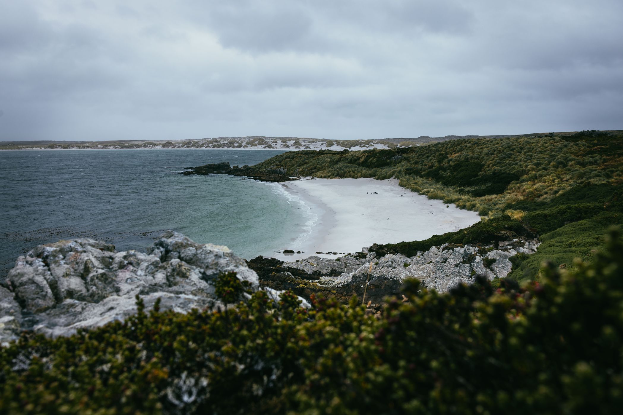 Observation Deck over Gypsy Cove, Falkland Islands (Malvinas)