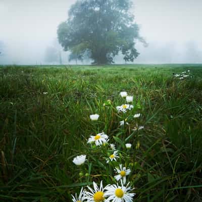 Old park, Slovakia (Slovak Republic)