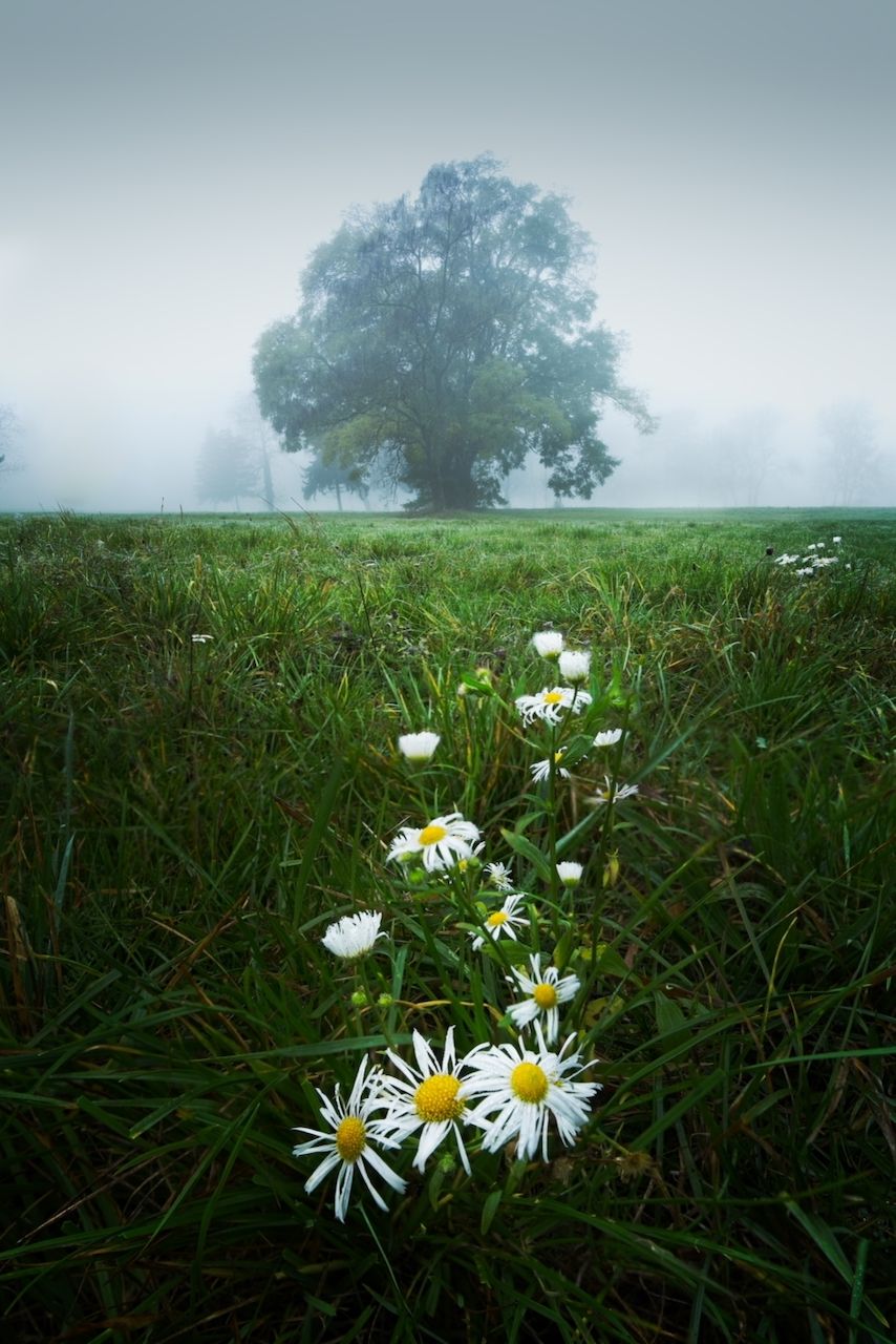 Old park, Slovakia (Slovak Republic)