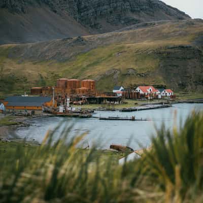 Overview of Grytviken, South Georgia, South Georgia and the South Sandwich Islands