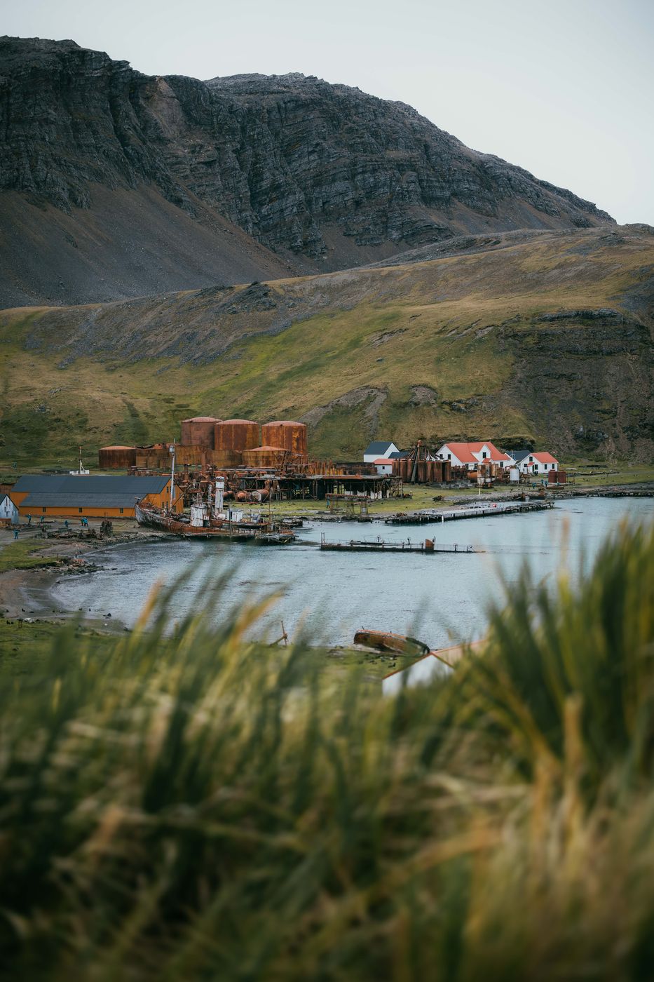 Overview of Grytviken, South Georgia, South Georgia and the South Sandwich Islands
