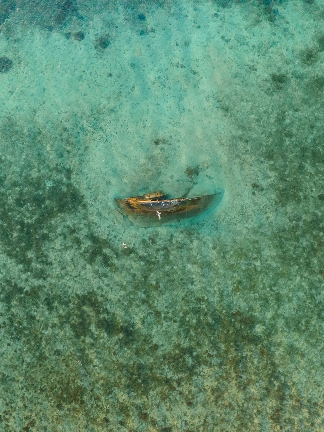 Point 104's shipwreck, New Caledonia
