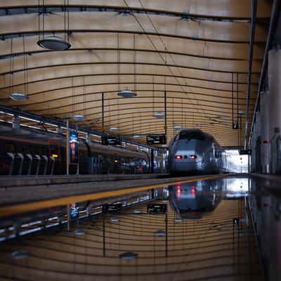 Railway station, airport, Oslo, Norway