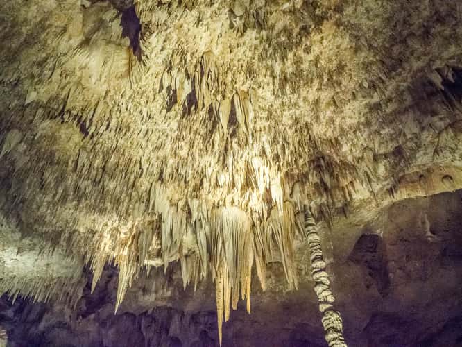 Rock of Ages - Carlsbad Caverns