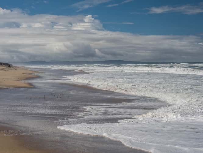 Salinas River State Beach
