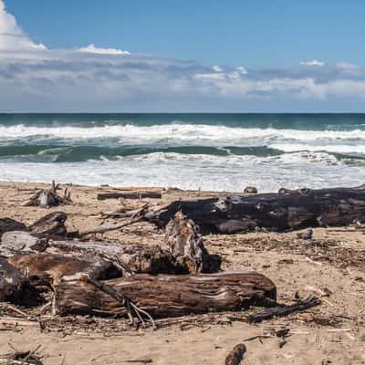 Salinas River State Beach, USA