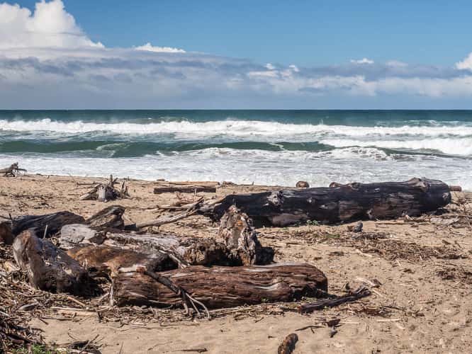 Salinas River State Beach