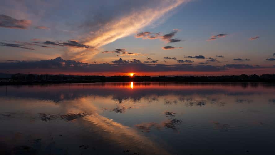 Saline