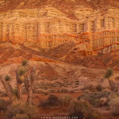 Sandstone Cliffs of Hagen Canyon Natural Preserve, USA