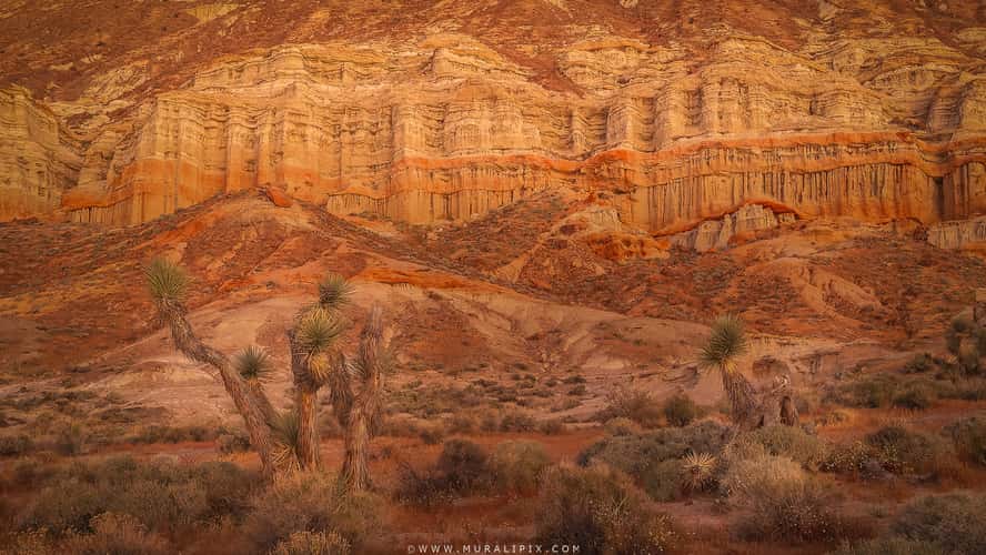 Sandstone Cliffs of Hagen Canyon Natural Preserve