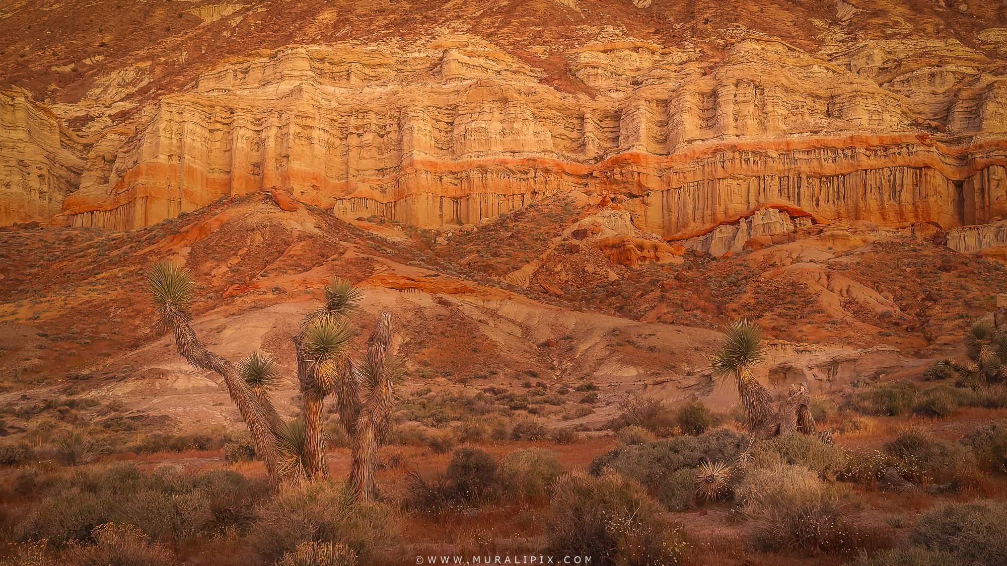 Sandstone Cliffs of Hagen Canyon Natural Preserve, USA