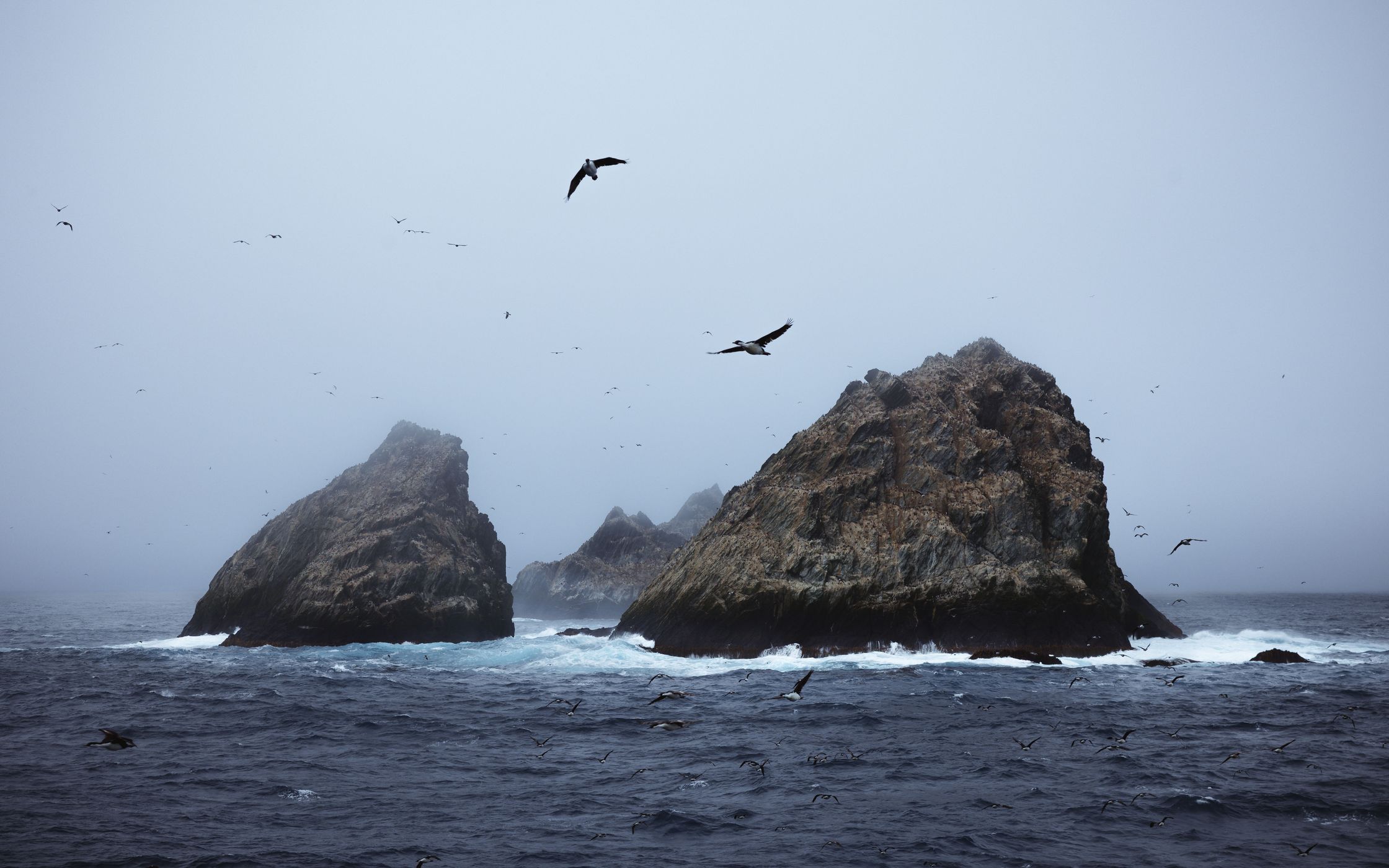 Shag Rocks, South Georgia, South Georgia and the South Sandwich Islands