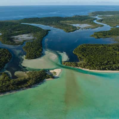 Shark nursery, New Caledonia