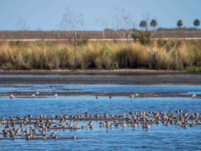 St. Marks National Wildlife Refuge