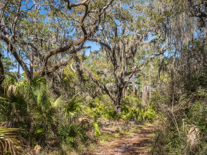 St. Marks National Wildlife Refuge
