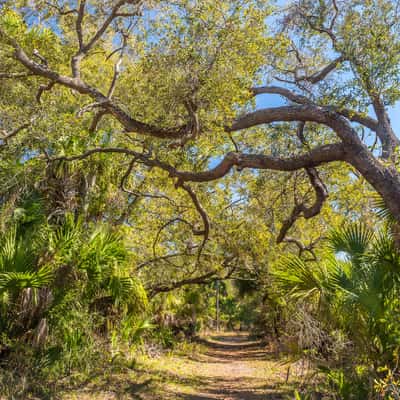 St. Marks National Wildlife Refuge, USA