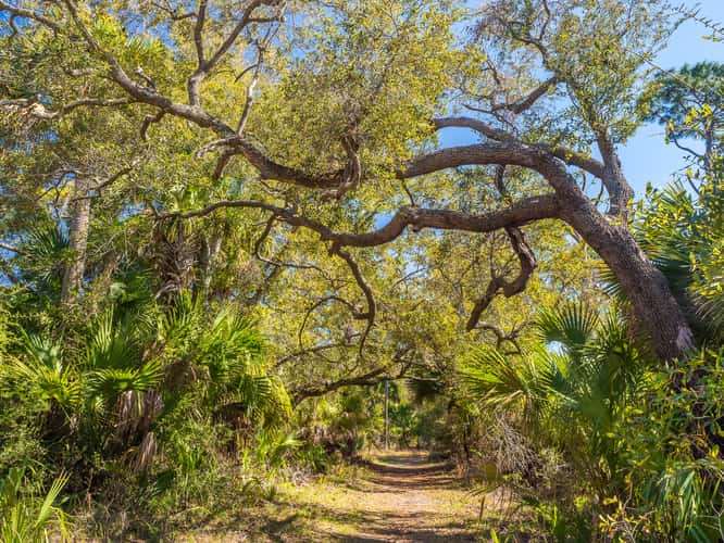 St. Marks National Wildlife Refuge