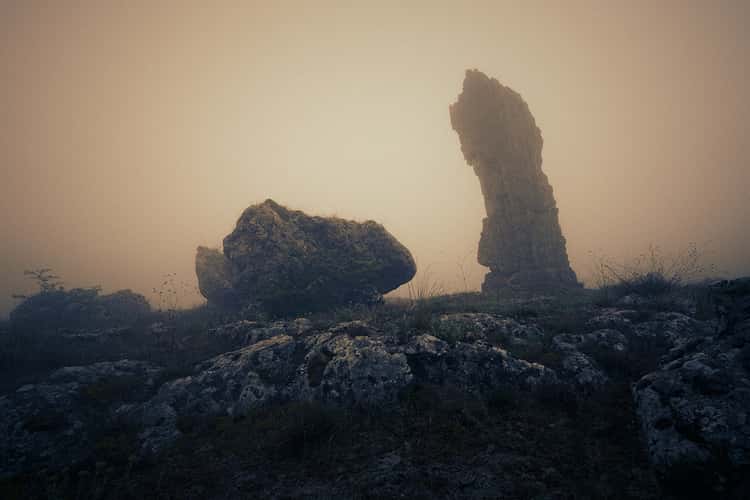 Stone Forest