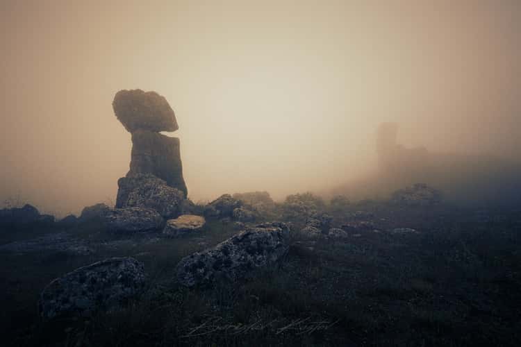 Stone Forest