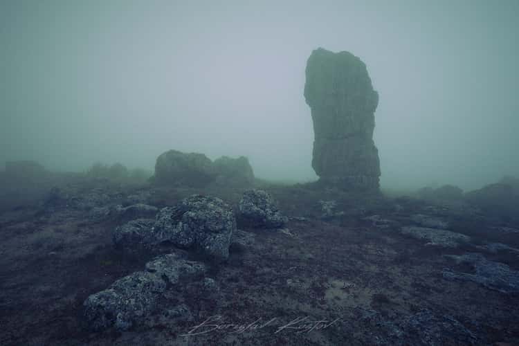 Stone Forest
