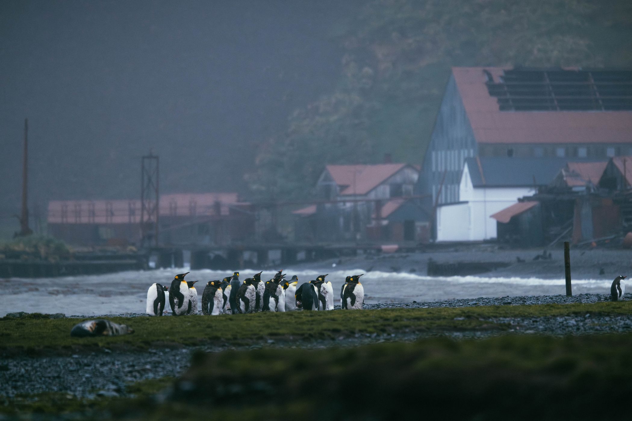 Stromsness, South Georgia, South Georgia and the South Sandwich Islands