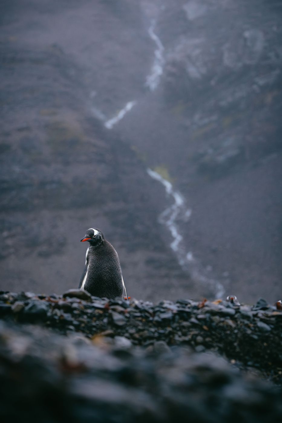 Stromsness, South Georgia, South Georgia and the South Sandwich Islands