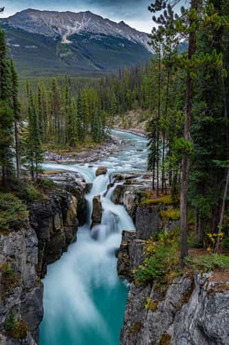 Sunwapta Falls from nearby
