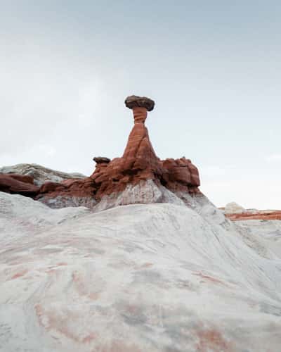 The Toadstool Hoodoos